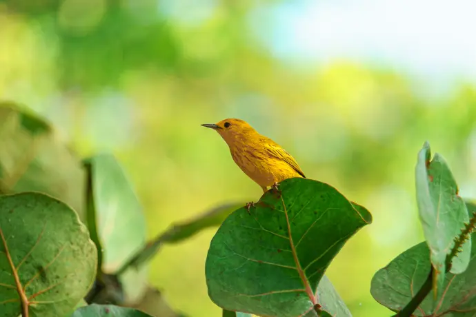 nature photography